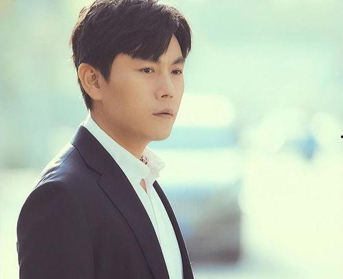 内地家庭剧男演员,内地家庭剧男演员的温馨演绎之路