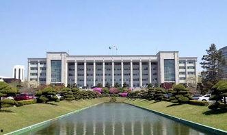 仁荷大学明星,揭秘校园璀璨之星